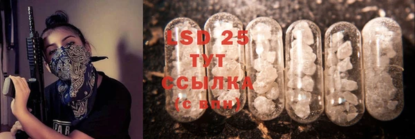 мдпв Новозыбков