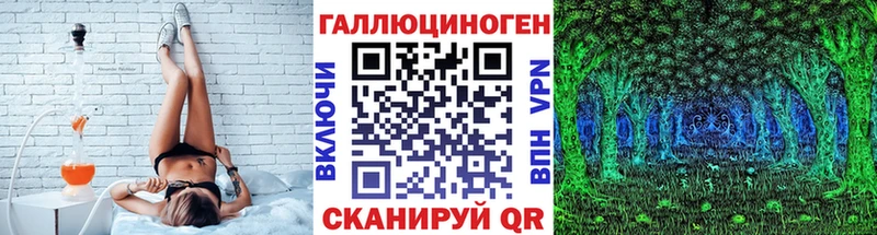 Галлюциногенные грибы Psilocybine cubensis  Корсаков 